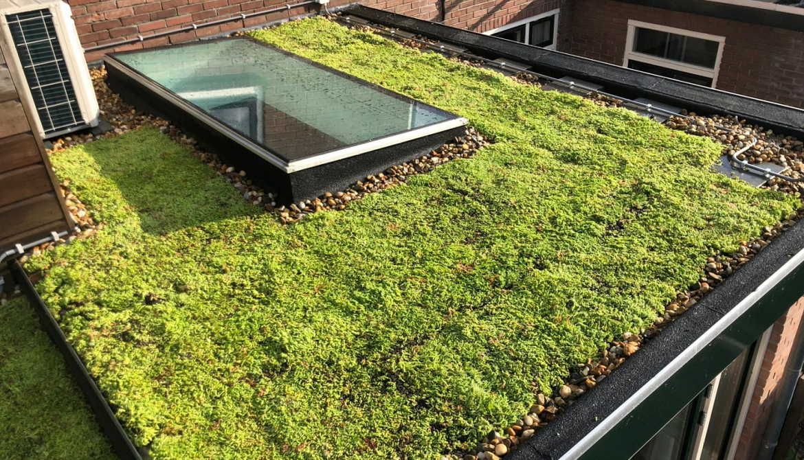 Groendak Alphen aan den Rijn