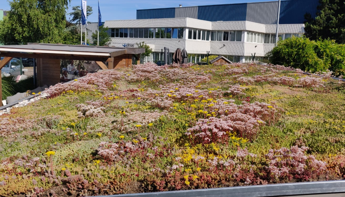 Groendak Showtuin Bakker Buitenleven