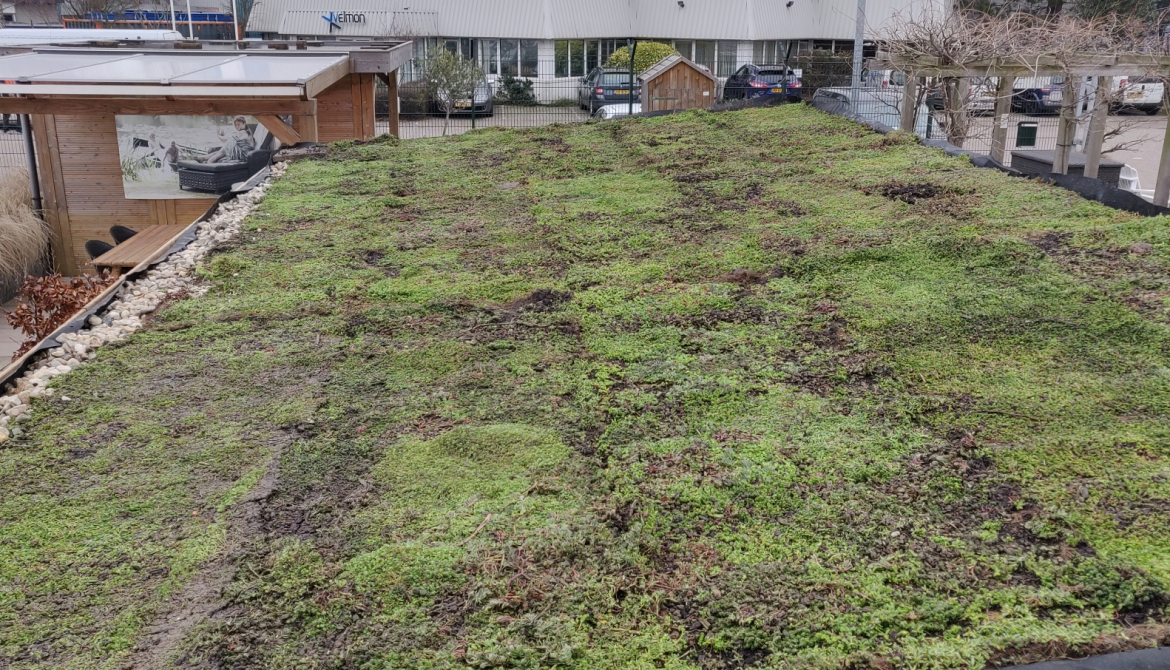 Groendak Showtuin Bakker Buitenleven