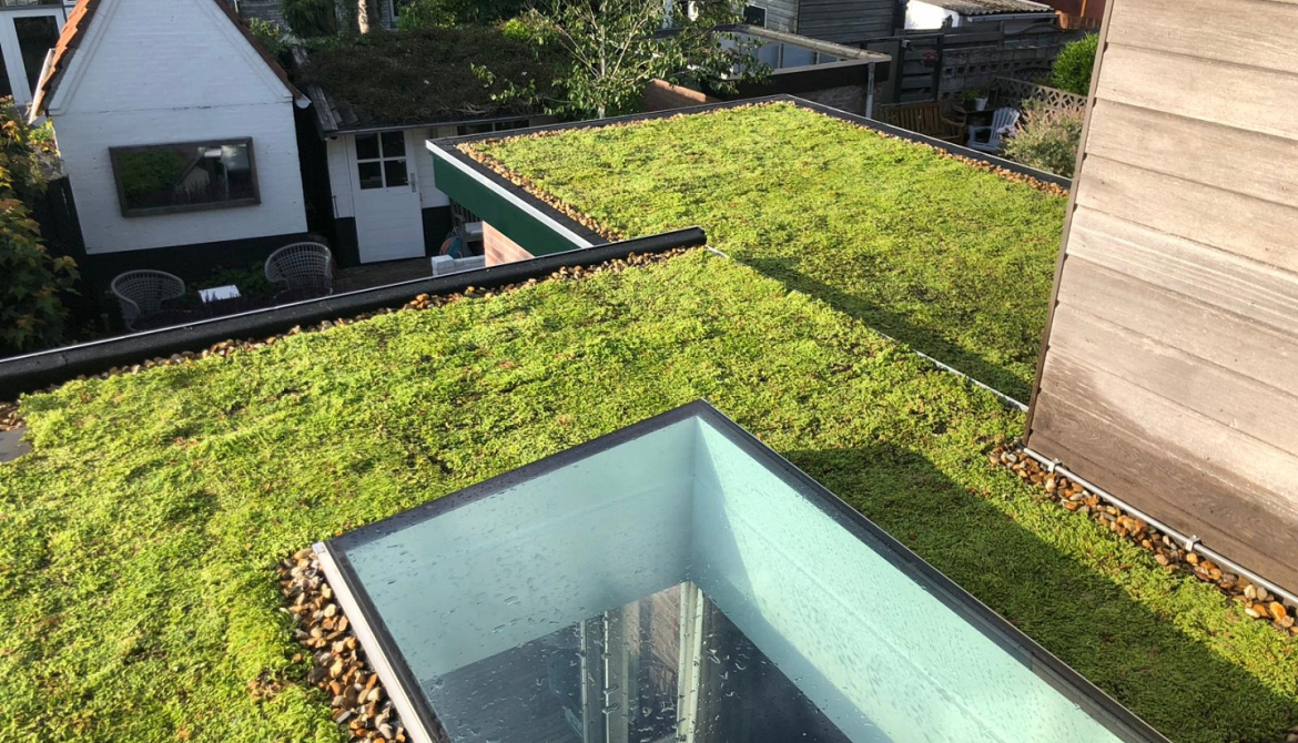 Groendak Alphen aan den Rijn
