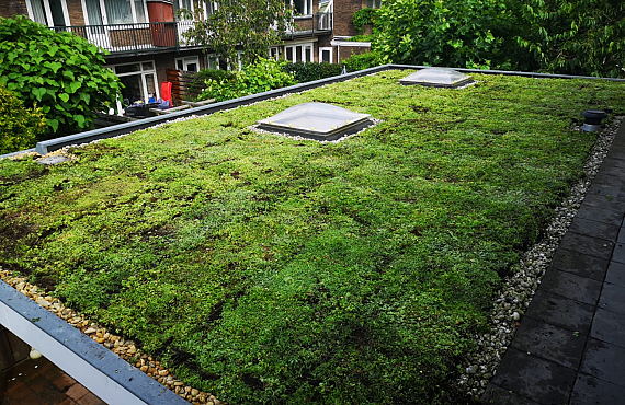 Groendak Haarlem