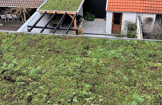 Groendak Castricum