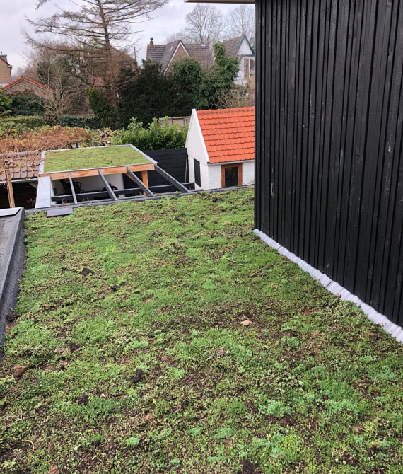 Groendak Castricum